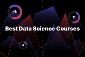 best online data science course